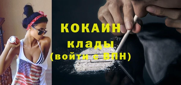 спиды Дмитриев