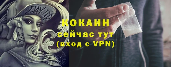 спиды Дмитриев