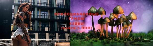 ПСИЛОЦИБИНОВЫЕ ГРИБЫ Елизово
