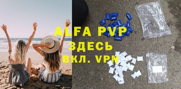 спиды Дмитриев