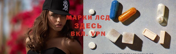 гашик Дмитровск