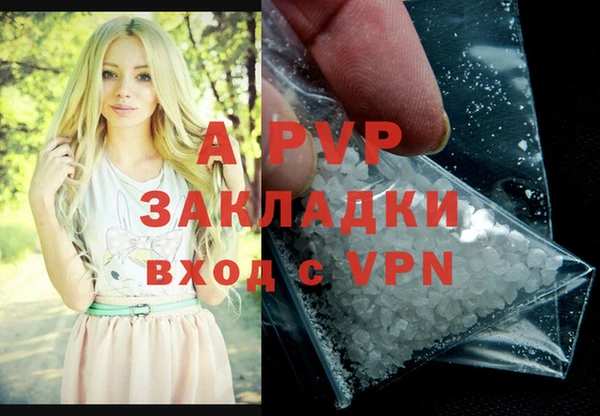 гашик Дмитровск
