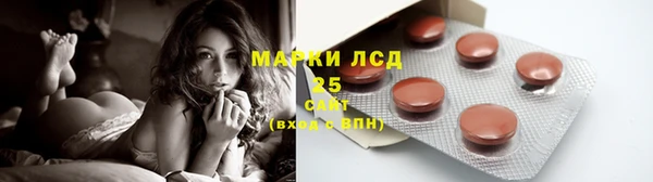 гашик Дмитровск