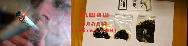 гашик Дмитровск