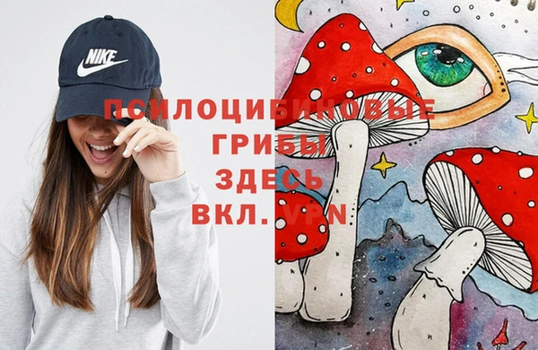 прущие грибы Елабуга