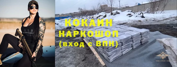 гашик Дмитровск