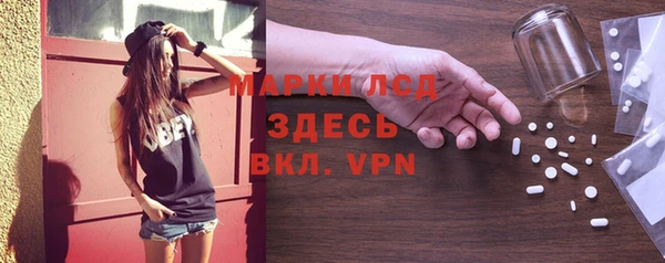 гашик Дмитровск